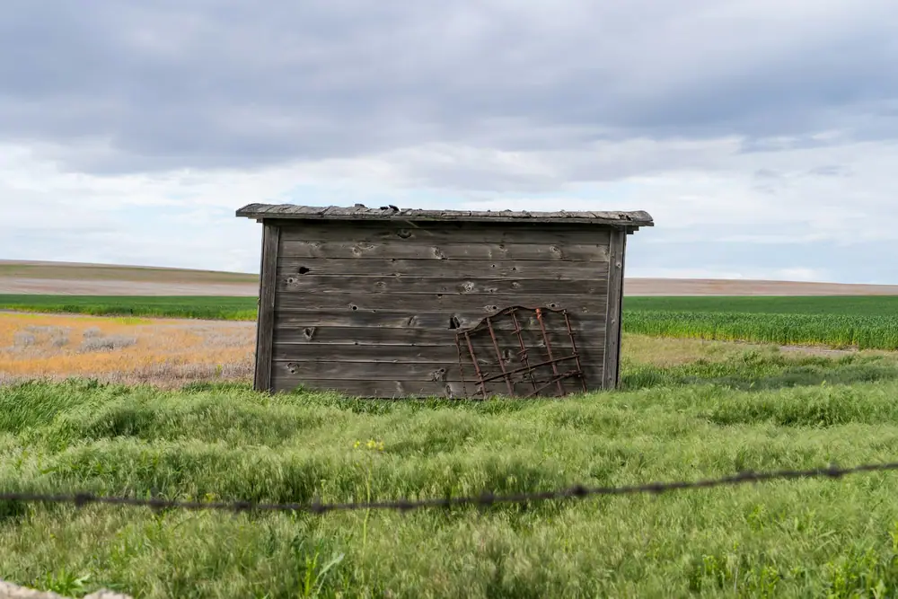 A small weathered wooden shed standing on open grassland under a cloudy sky